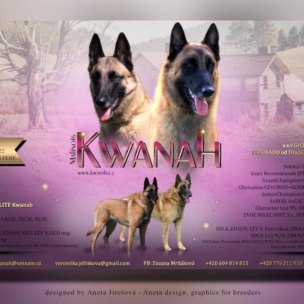 E2 Vrh - Kwanah - Malinois